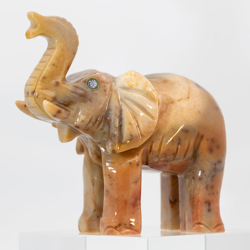 Osmium Eyes - Elephant