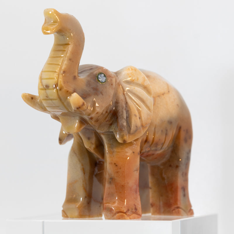 Osmium Eyes - Elephant